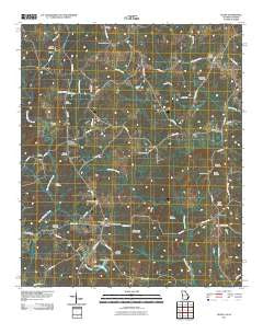 Glenn Georgia Historical topographic map, 1:24000 scale, 7.5 X 7.5 Minute, Year 2011