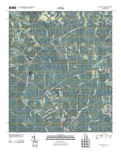 Glennville SE Georgia Historical topographic map, 1:24000 scale, 7.5 X 7.5 Minute, Year 2011