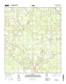 Glennville SE Georgia Current topographic map, 1:24000 scale, 7.5 X 7.5 Minute, Year 2014
