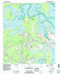Harrietts Bluff Georgia Historical topographic map, 1:24000 scale, 7.5 X 7.5 Minute, Year 1994