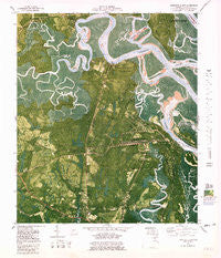 Harrietts Bluff Georgia Historical topographic map, 1:24000 scale, 7.5 X 7.5 Minute, Year 1980