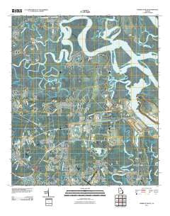 Harrietts Bluff Georgia Historical topographic map, 1:24000 scale, 7.5 X 7.5 Minute, Year 2011