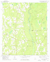 Hastings Fish Pond Georgia Historical topographic map, 1:24000 scale, 7.5 X 7.5 Minute, Year 1977