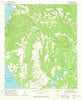 Hatcher Georgia Historical topographic map, 1:24000 scale, 7.5 X 7.5 Minute, Year 1967