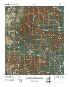 Hayneville Georgia Historical topographic map, 1:24000 scale, 7.5 X 7.5 Minute, Year 2011