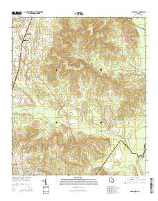 Hayneville Georgia Current topographic map, 1:24000 scale, 7.5 X 7.5 Minute, Year 2014