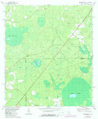 Henderson Still Georgia Historical topographic map, 1:24000 scale, 7.5 X 7.5 Minute, Year 1972