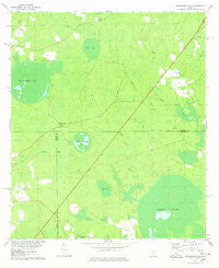 Henderson Still Georgia Historical topographic map, 1:24000 scale, 7.5 X 7.5 Minute, Year 1978