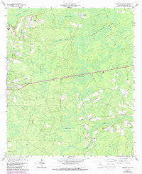 Hoboken East Georgia Historical topographic map, 1:24000 scale, 7.5 X 7.5 Minute, Year 1966