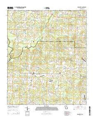 Hollonville Georgia Current topographic map, 1:24000 scale, 7.5 X 7.5 Minute, Year 2014