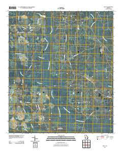 Holt Georgia Historical topographic map, 1:24000 scale, 7.5 X 7.5 Minute, Year 2011