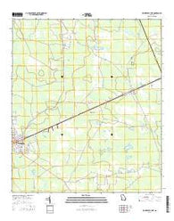 Homerville East Georgia Current topographic map, 1:24000 scale, 7.5 X 7.5 Minute, Year 2014