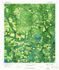 Indianola Georgia Historical topographic map, 1:24000 scale, 7.5 X 7.5 Minute, Year 1971