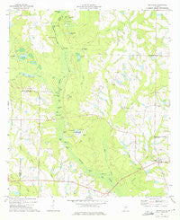 Irwinville Georgia Historical topographic map, 1:24000 scale, 7.5 X 7.5 Minute, Year 1973
