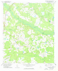 Jacksonboro Bridge Georgia Historical topographic map, 1:24000 scale, 7.5 X 7.5 Minute, Year 1978