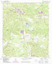 Junction City Georgia Historical topographic map, 1:24000 scale, 7.5 X 7.5 Minute, Year 1971