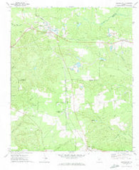 Junction City Georgia Historical topographic map, 1:24000 scale, 7.5 X 7.5 Minute, Year 1971