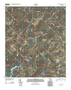 Lake Cypress Georgia Historical topographic map, 1:24000 scale, 7.5 X 7.5 Minute, Year 2011