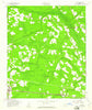 Lanier Georgia Historical topographic map, 1:24000 scale, 7.5 X 7.5 Minute, Year 1958