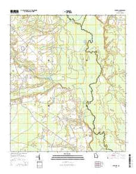 Leefield Georgia Current topographic map, 1:24000 scale, 7.5 X 7.5 Minute, Year 2014