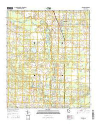 Leesburg Georgia Current topographic map, 1:24000 scale, 7.5 X 7.5 Minute, Year 2014