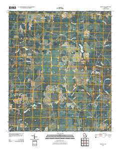 Leslie SE Georgia Historical topographic map, 1:24000 scale, 7.5 X 7.5 Minute, Year 2011