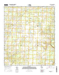 Leslie SE Georgia Current topographic map, 1:24000 scale, 7.5 X 7.5 Minute, Year 2014