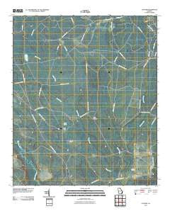 Letford Georgia Historical topographic map, 1:24000 scale, 7.5 X 7.5 Minute, Year 2011