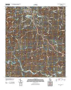Lincoln Park Georgia Historical topographic map, 1:24000 scale, 7.5 X 7.5 Minute, Year 2011