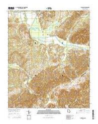 Livingston Georgia Current topographic map, 1:24000 scale, 7.5 X 7.5 Minute, Year 2014