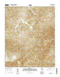 Ludville Georgia Current topographic map, 1:24000 scale, 7.5 X 7.5 Minute, Year 2014