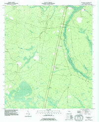 Mc Kinnon Georgia Historical topographic map, 1:24000 scale, 7.5 X 7.5 Minute, Year 1993