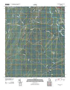 Meldrim SW Georgia Historical topographic map, 1:24000 scale, 7.5 X 7.5 Minute, Year 2011