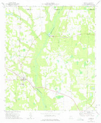 Morgan Georgia Historical topographic map, 1:24000 scale, 7.5 X 7.5 Minute, Year 1973