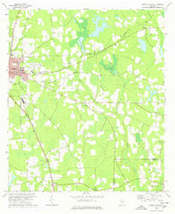 Nashville East Georgia Historical topographic map, 1:24000 scale, 7.5 X 7.5 Minute, Year 1978
