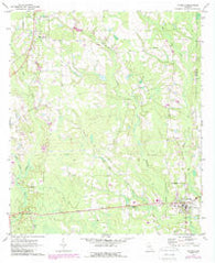 Nicholls Georgia Historical topographic map, 1:24000 scale, 7.5 X 7.5 Minute, Year 1971