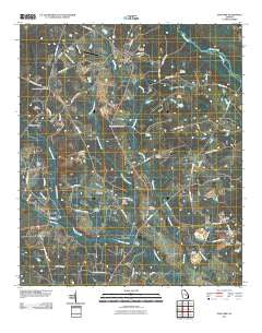 Oak Park Georgia Historical topographic map, 1:24000 scale, 7.5 X 7.5 Minute, Year 2011