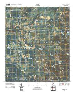 Pateville Georgia Historical topographic map, 1:24000 scale, 7.5 X 7.5 Minute, Year 2011