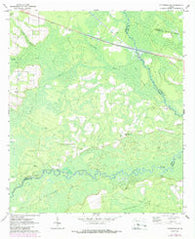 Patterson SE Georgia Historical topographic map, 1:24000 scale, 7.5 X 7.5 Minute, Year 1971