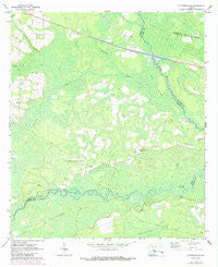 Patterson SE Georgia Historical topographic map, 1:24000 scale, 7.5 X 7.5 Minute, Year 1971