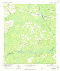 Patterson SE Georgia Historical topographic map, 1:24000 scale, 7.5 X 7.5 Minute, Year 1971