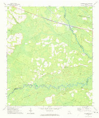 Patterson SE Georgia Historical topographic map, 1:24000 scale, 7.5 X 7.5 Minute, Year 1971