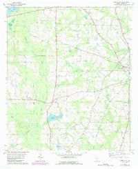 Pebble Hill Georgia Historical topographic map, 1:24000 scale, 7.5 X 7.5 Minute, Year 1975