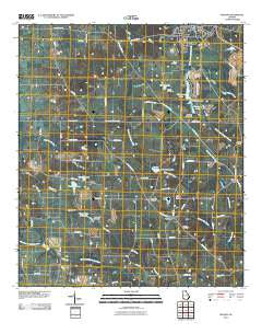 Pelham Georgia Historical topographic map, 1:24000 scale, 7.5 X 7.5 Minute, Year 2011