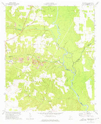 Pennington Georgia Historical topographic map, 1:24000 scale, 7.5 X 7.5 Minute, Year 1972