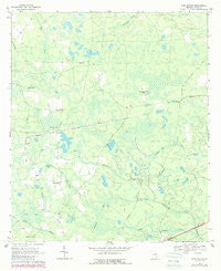 Pine Valley Georgia Historical topographic map, 1:24000 scale, 7.5 X 7.5 Minute, Year 1967