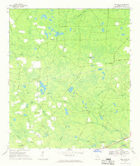 Pine Valley Georgia Historical topographic map, 1:24000 scale, 7.5 X 7.5 Minute, Year 1967
