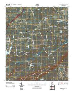 Pine Mountain SW Georgia Historical topographic map, 1:24000 scale, 7.5 X 7.5 Minute, Year 2011