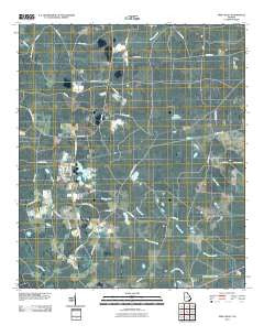 Pine Valley Georgia Historical topographic map, 1:24000 scale, 7.5 X 7.5 Minute, Year 2011