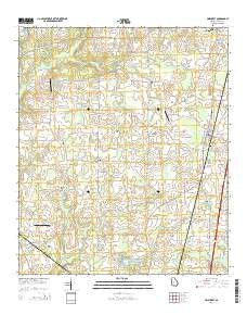 Pinehurst Georgia Current topographic map, 1:24000 scale, 7.5 X 7.5 Minute, Year 2014